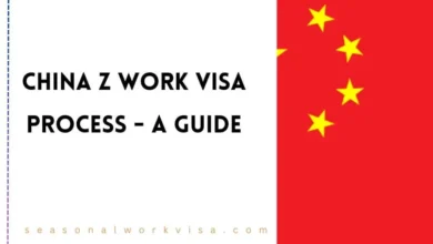 China Z Work Visa Process