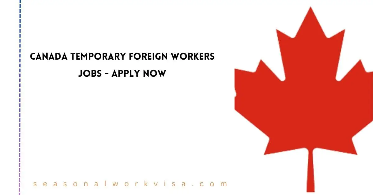 new brunswick canada jobs for foreign workers with visa