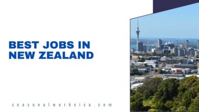 Best Jobs in New Zealand