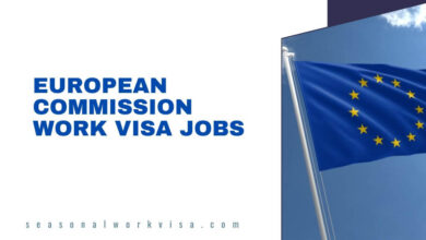 European Commission Work VISA Jobs