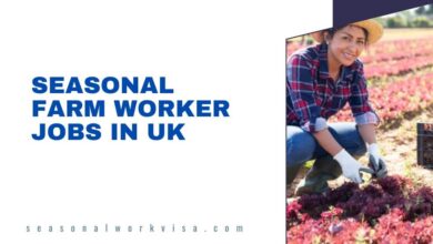 Seasonal Farm Worker Jobs in UK