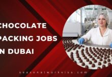 Chocolate Packing Jobs in Dubai