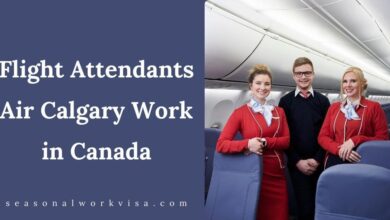 Flight Attendants Air Calgary Work in Canada