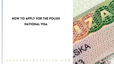 How to Apply for the Polish National Visa