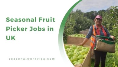 Seasonal Fruit Picker Jobs in UK