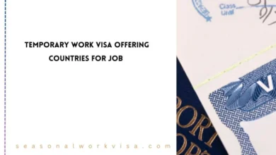 Temporary Work Visa