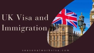 UK Visa and Immigration