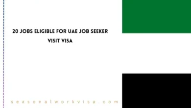 20 Jobs Eligible for UAE Job Seeker Visit Visa