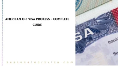 American O-1 Visa Process