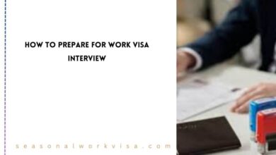 Work VISA Interview