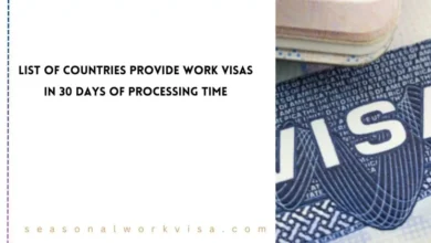 List of Countries Provide Work Visas