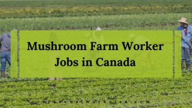 Mushroom Farm Worker Jobs in Canada