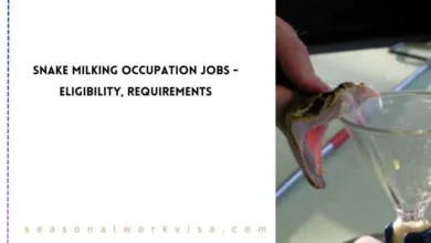 Snake Milking Occupation Jobs