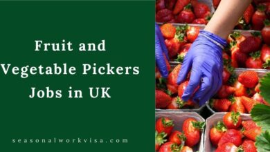 Fruit and Vegetable Pickers Jobs in UK