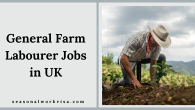 General Farm Labourer Jobs in UK