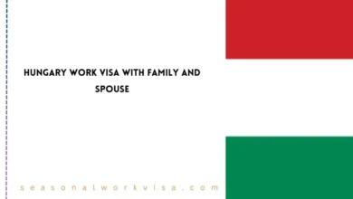 Ireland CSEP Work Visa With Family