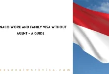 Monaco Work and Family VISA