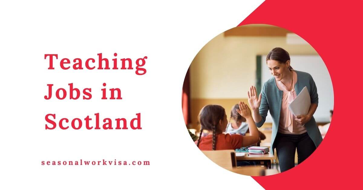 ENTRY REQUIREMENTS FOR PRIMARY TEACHING SCOTLAND visual data 8