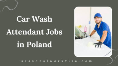 Car Wash Attendant Jobs in Poland