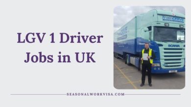 LGV 1 Driver Jobs in UK