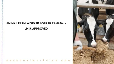Animal Farm Worker Jobs in Canada