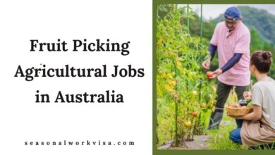 Fruit Picking Agricultural Jobs in Australia