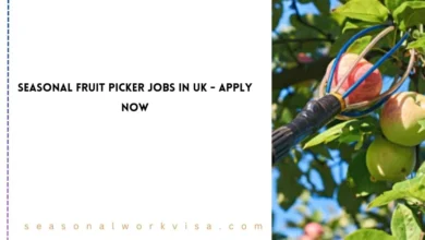 Seasonal Fruit Picker Jobs in UK