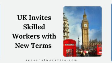 UK Invites Skilled Workers with New Terms