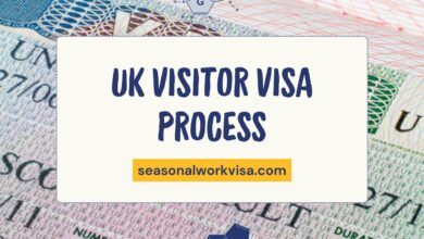 UK Visitor Visa Process