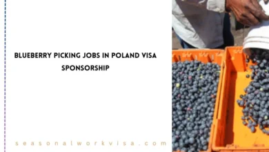 BlueBerry Picking Jobs in Poland With Visa Sponsorship