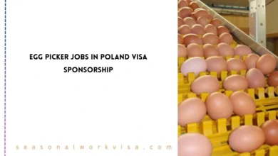 Egg Picker Jobs in Poland
