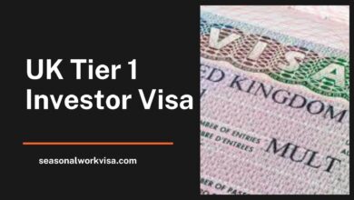 UK Tier 1 Investor Visa