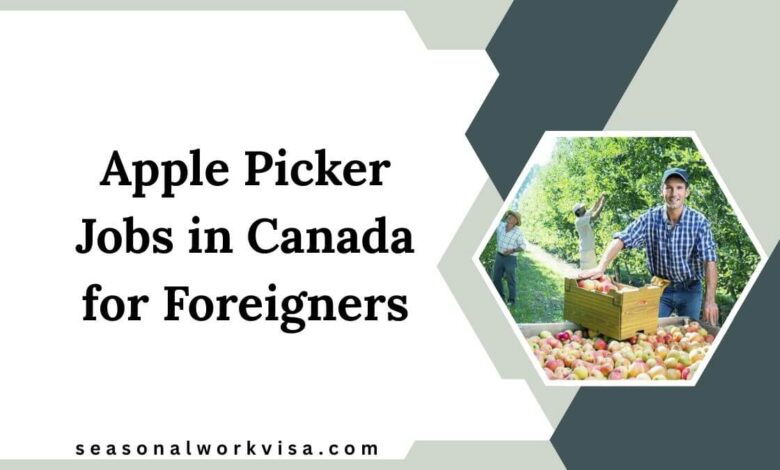 Apple Picker Jobs in Canada for Foreigners
