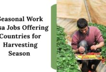 Seasonal Work Visa Jobs Offering Countries for Harvesting Season