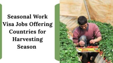 Seasonal Work Visa Jobs Offering Countries for Harvesting Season