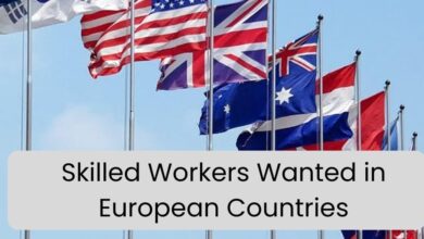 Skilled Workers Wanted in European Countries