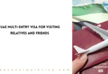 UAE Multi-Entry Visa