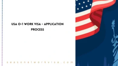 USA O-1 Work Visa