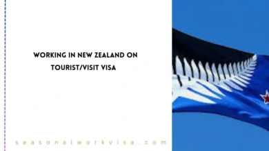 Working in New Zealand