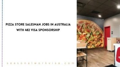 School Bus Driver Jobs in New Zealand Visa Sponsorship