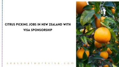 Citrus Picking Jobs in New Zealand