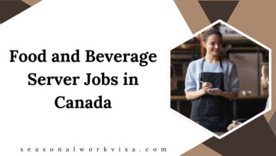 Food and Beverage Server Jobs in Canada
