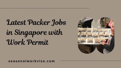 Latest Packer Jobs in Singapore with Work Permit