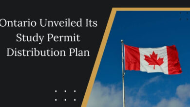 Ontario Unveiled Its Study Permit Distribution Plan