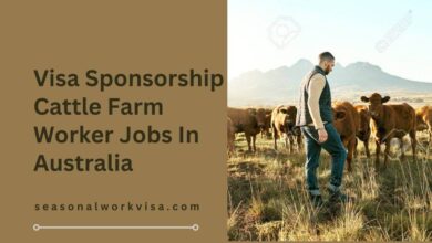 Visa Sponsorship Cattle Farm Worker Jobs In Australia