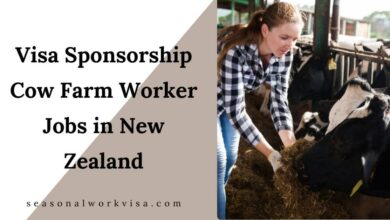 Visa Sponsorship Cow Farm Worker Jobs in New Zealand