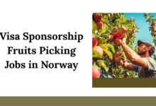 Visa Sponsorship Fruits Picking Jobs in Norway