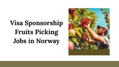 Visa Sponsorship Fruits Picking Jobs in Norway
