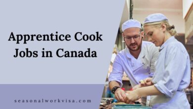 Apprentice Cook Jobs in Canada