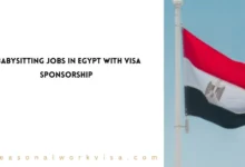 Babysitting Jobs in Egypt